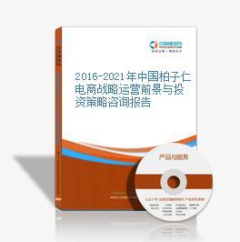 2016-2020年中国柏子仁电商战略运营前景与投资策略咨询